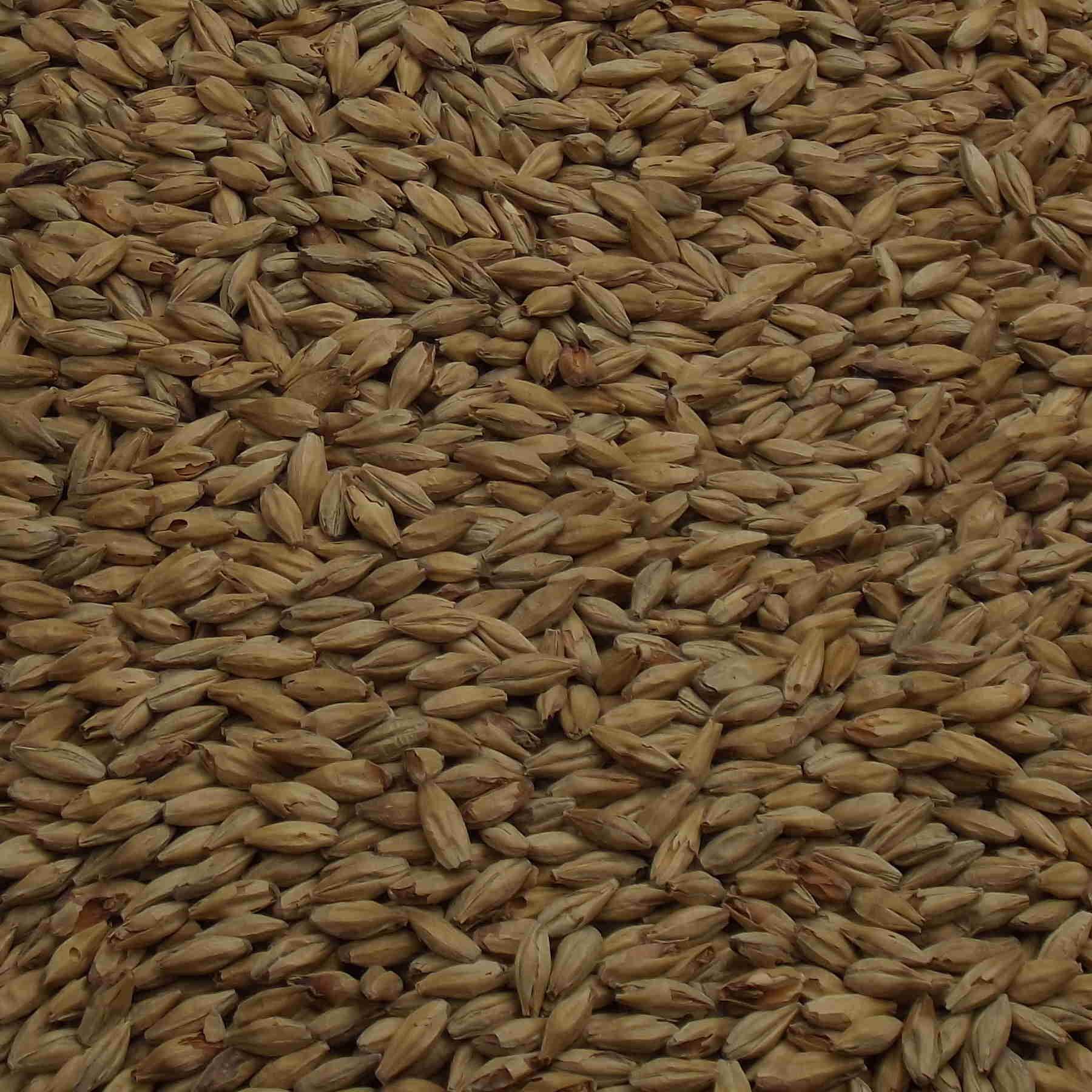 Abbey Malt, Weyermann, EBC: 40 – 50