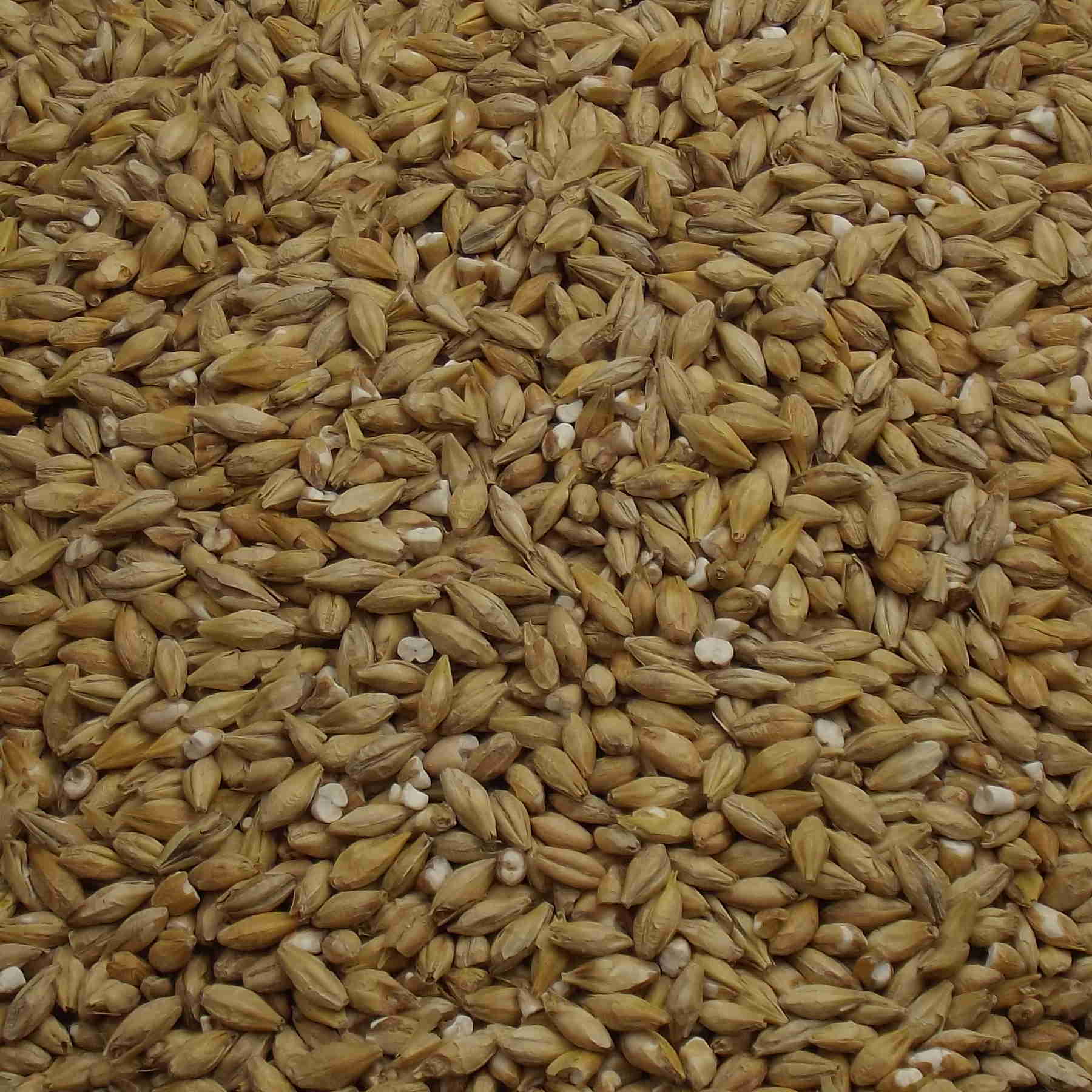 Acidulated Malt, Weyermann, EBC: 3 – 6
