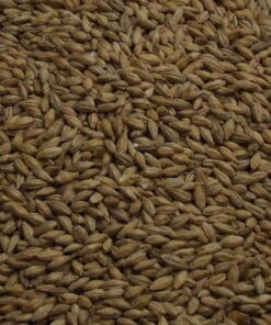 Barley Diastatic Malt, Weyermann, EBC: 3 – 5