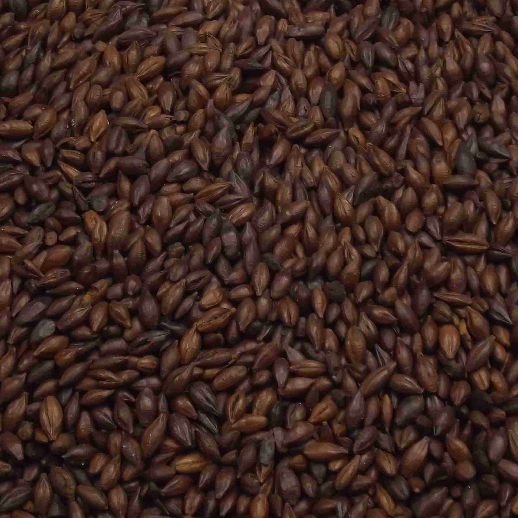 Black Malt, Fawcett. EBC: 1200 – 1400