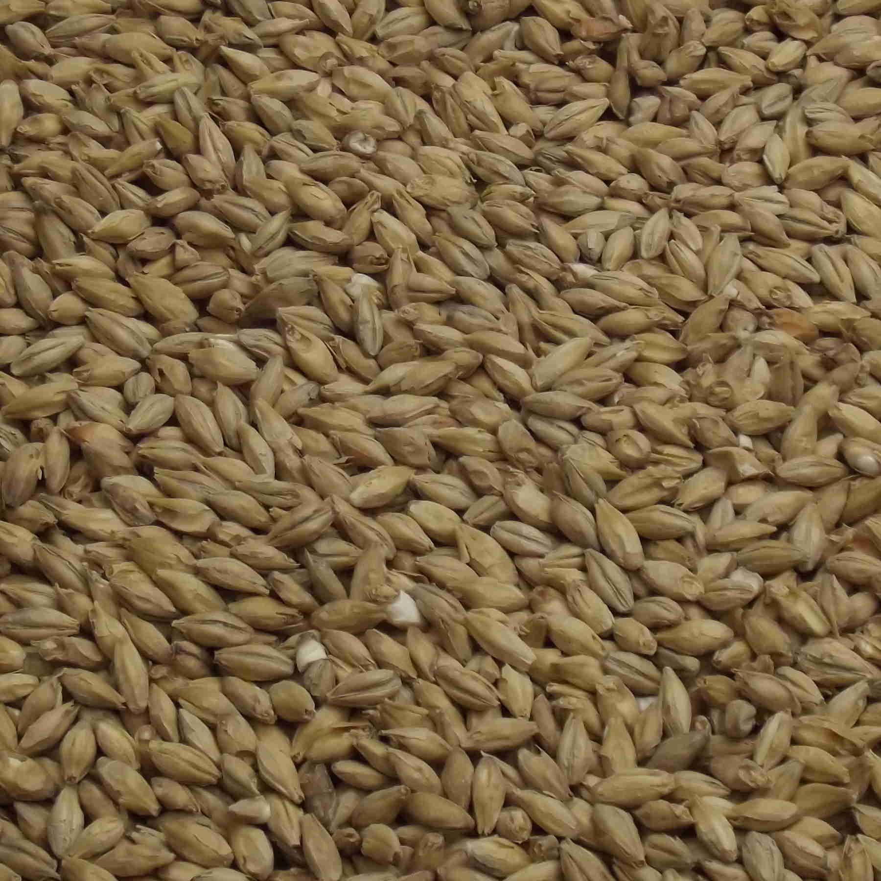 Bohemian Pilsner Malt, Weyermann, EBC: 2,5 – 3,5