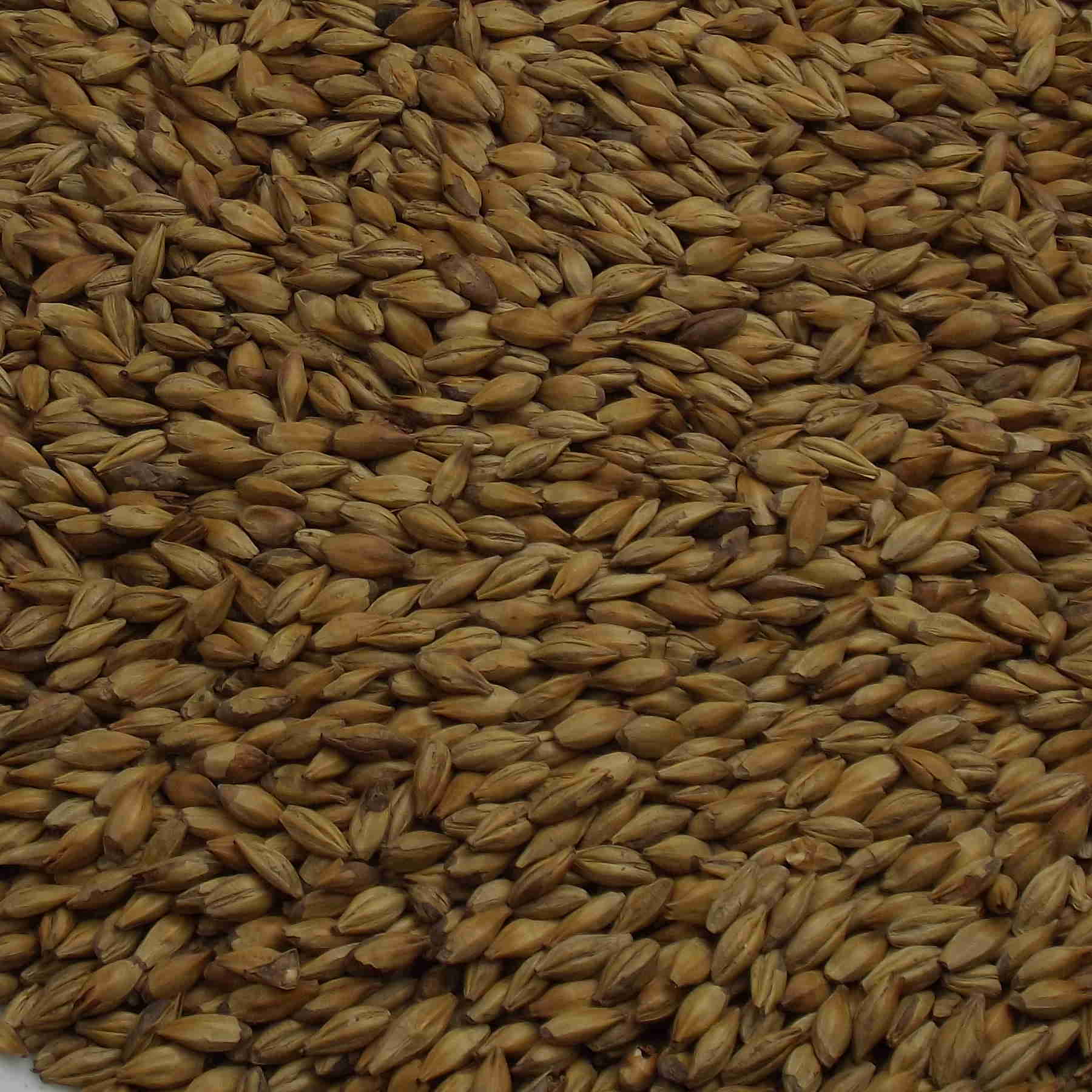 Cara Malt, Fawcett. EBC: 25 – 30,