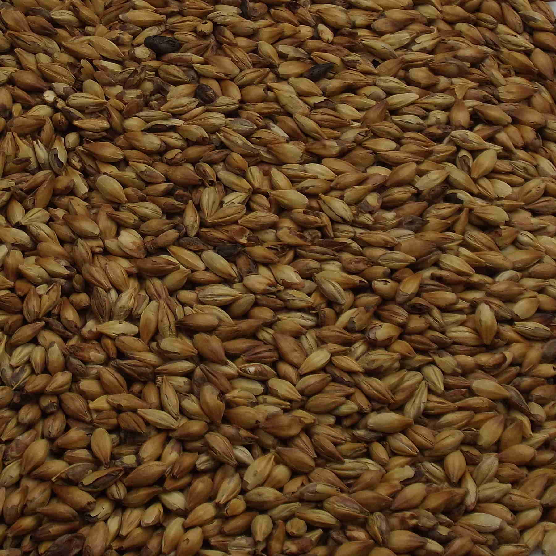 Red X Malt, BESTMALTZ , EBC: 28 – 32