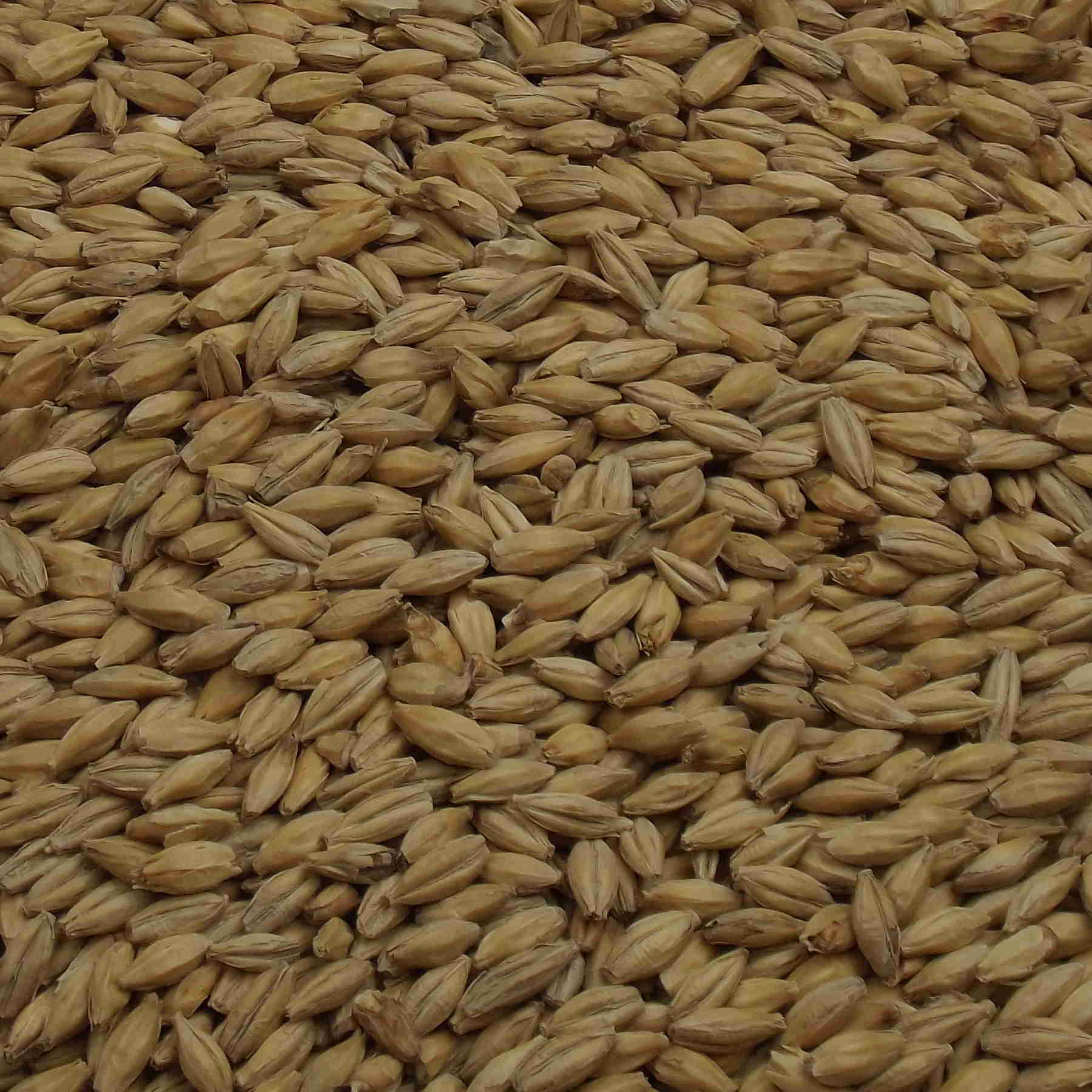 CARA PILS, Weyermann,  EBC: 3 – 5,