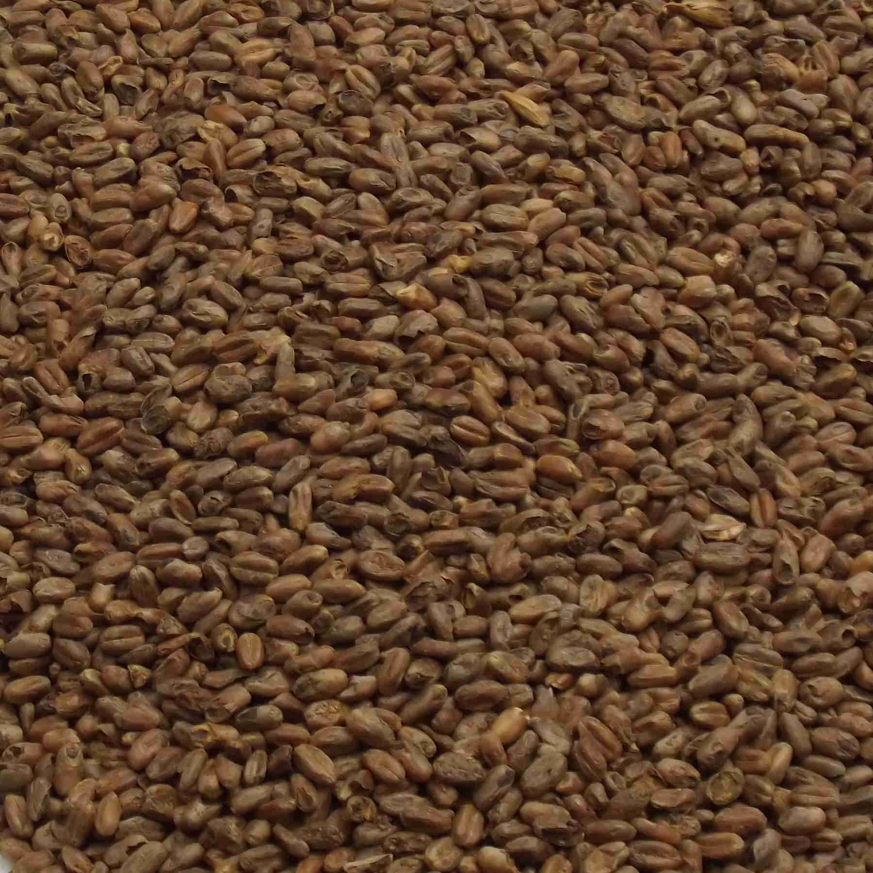 CARA WHEAT, Weyermann, EBC: 100 – 140