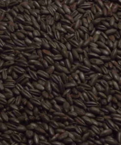 Byg, CARAFA og Chocolate malt