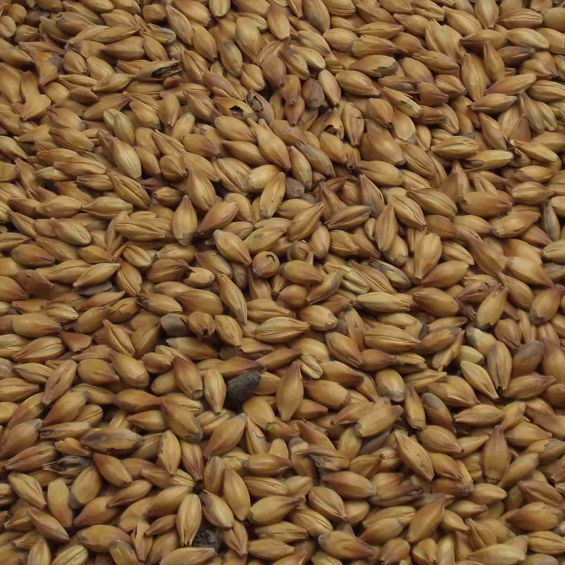 Crystel Malt, Fawcett. EBC: 120 – 140,