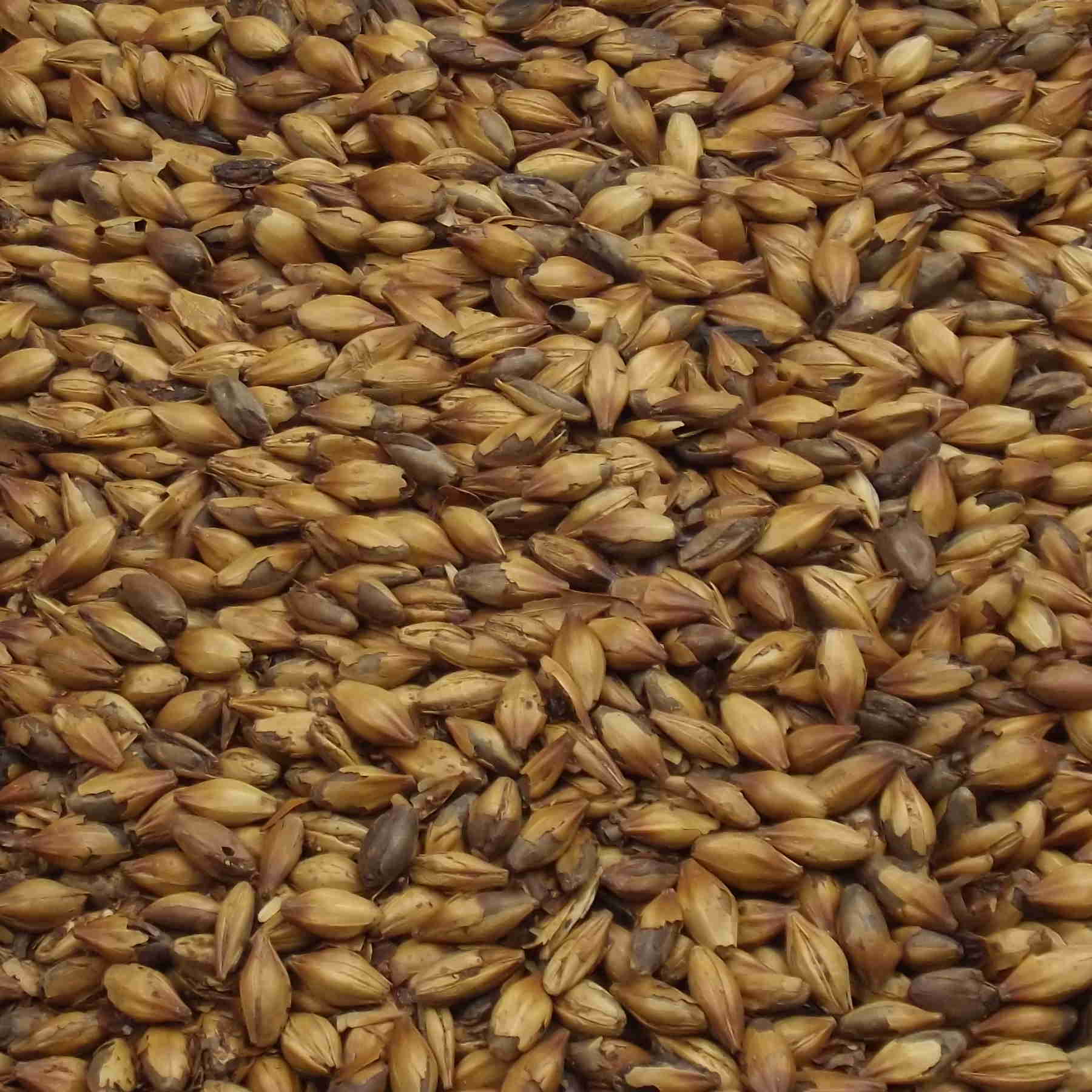 Dark Crystel Malt, Fawcett. EBC: 200 – 400,