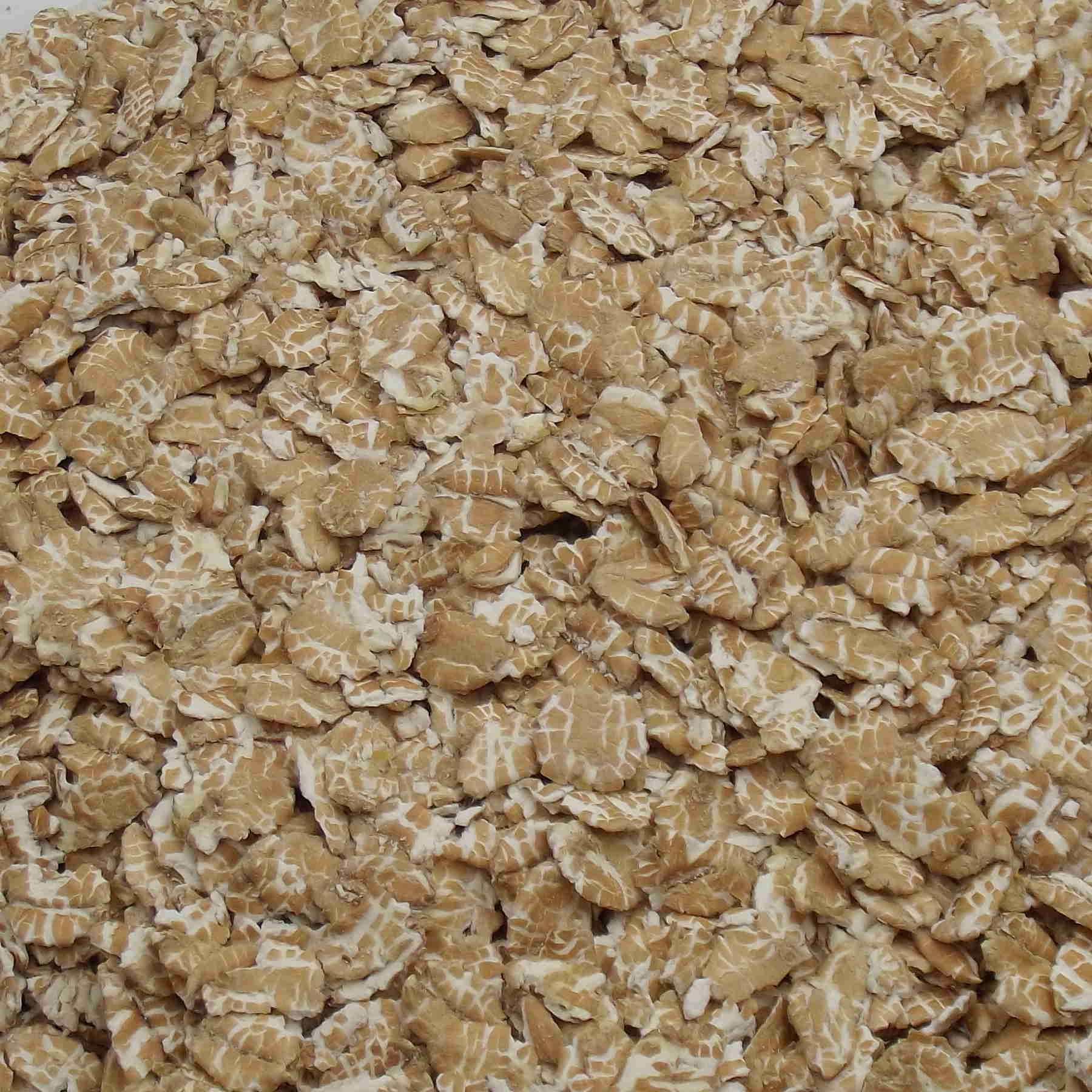 Flaked Wheat (varmvalset hvede), Dansk Landbrug