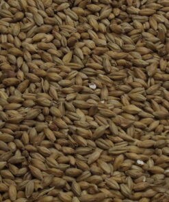 Golden Promise Ale Malt, Fawcett. EBC:  7,0 – 7,9, 25 kg