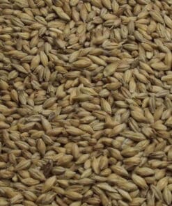 Maris Otter Pale Ale Malt, Fawcett. EBC: 4,5 – 5,5