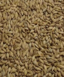 Müncher Malt, Fulgsang, EBC: 12 – 16