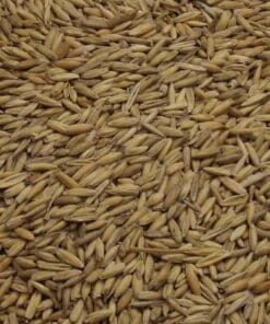 Rug og havremalt