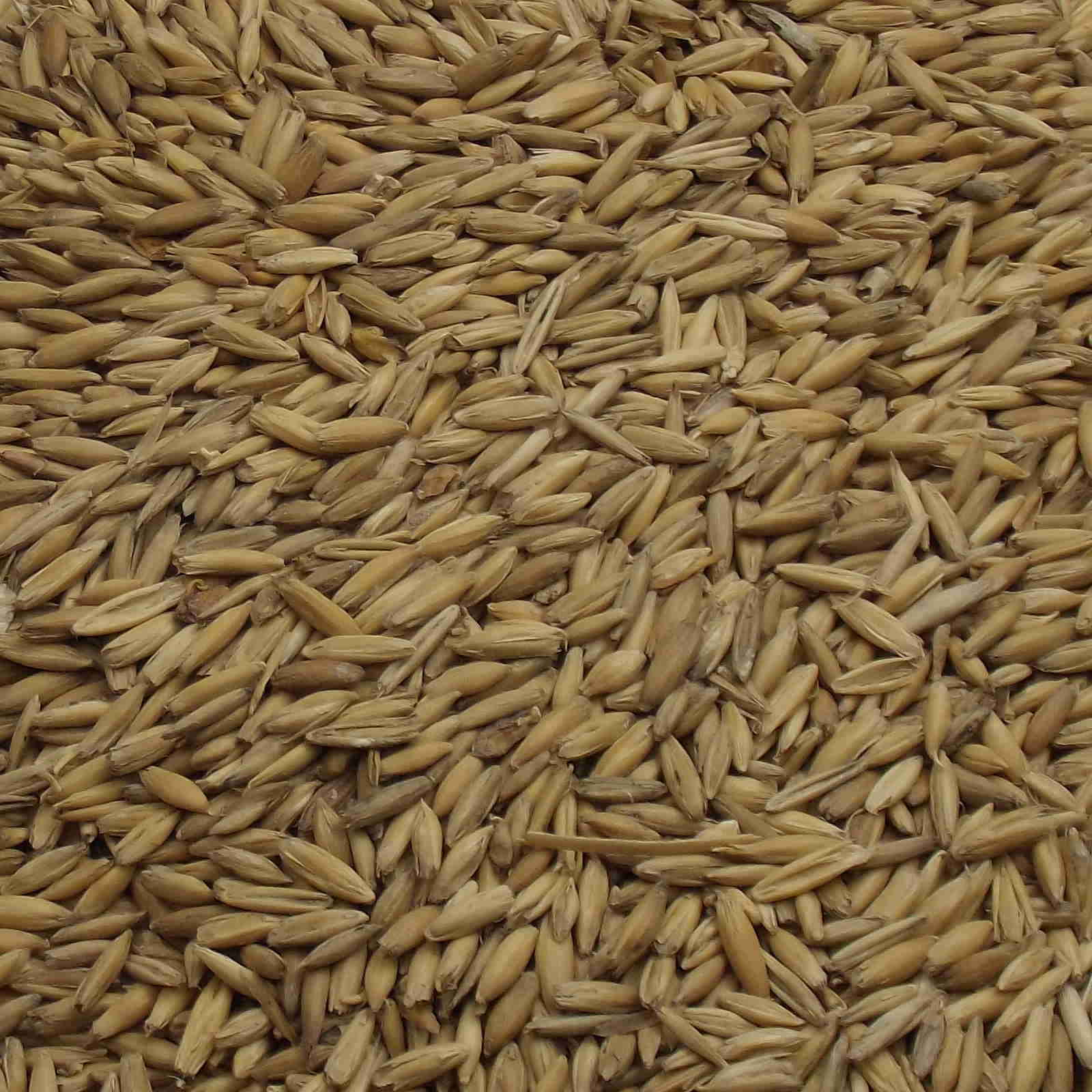 Oat Malt, Fawcett. EBC: 4,0,