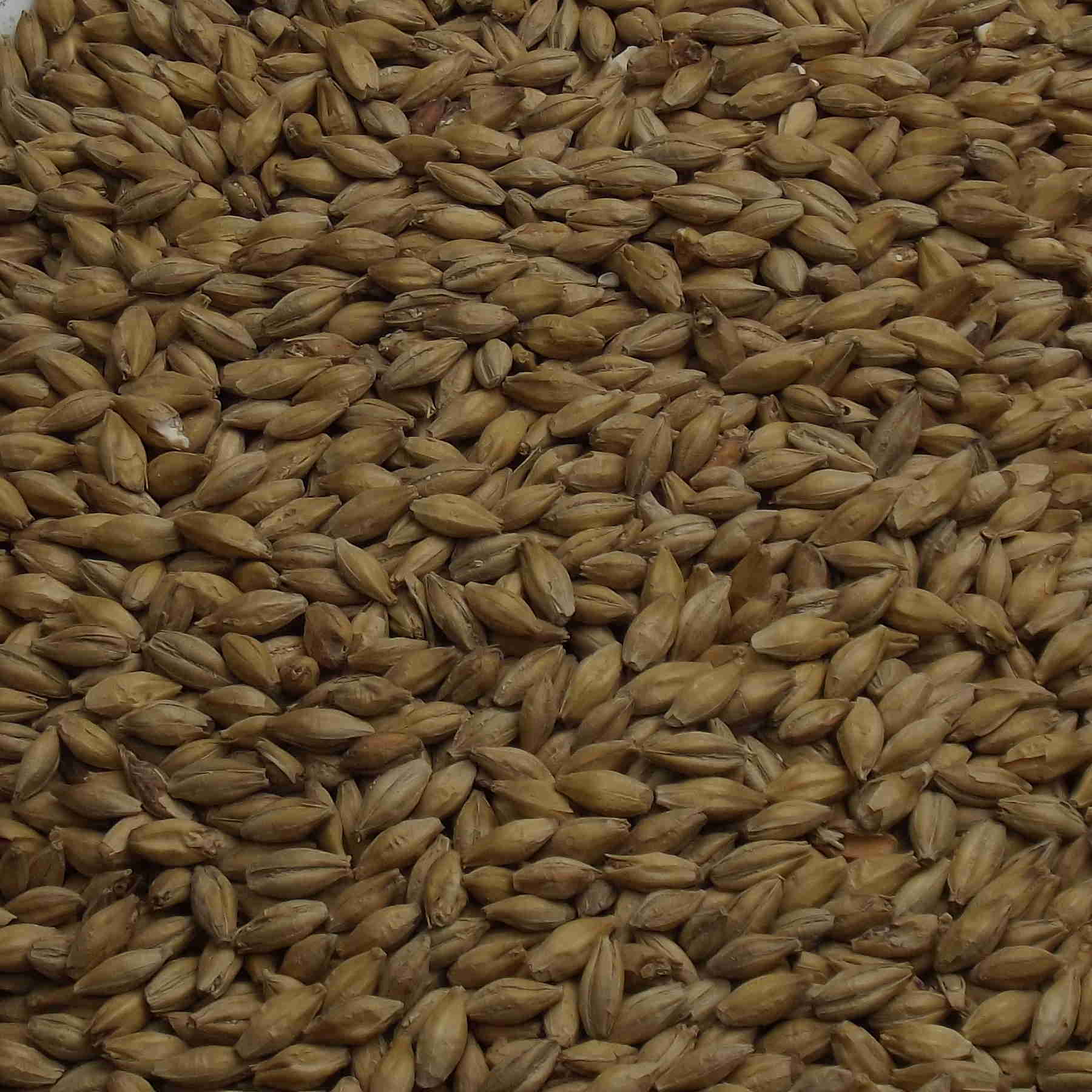 Spring Malt, Fawcett. EBC: 4,5 – 5,5