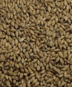 Pale Ale Malt, Fuglsang, EBC: 6,5 – 8,5