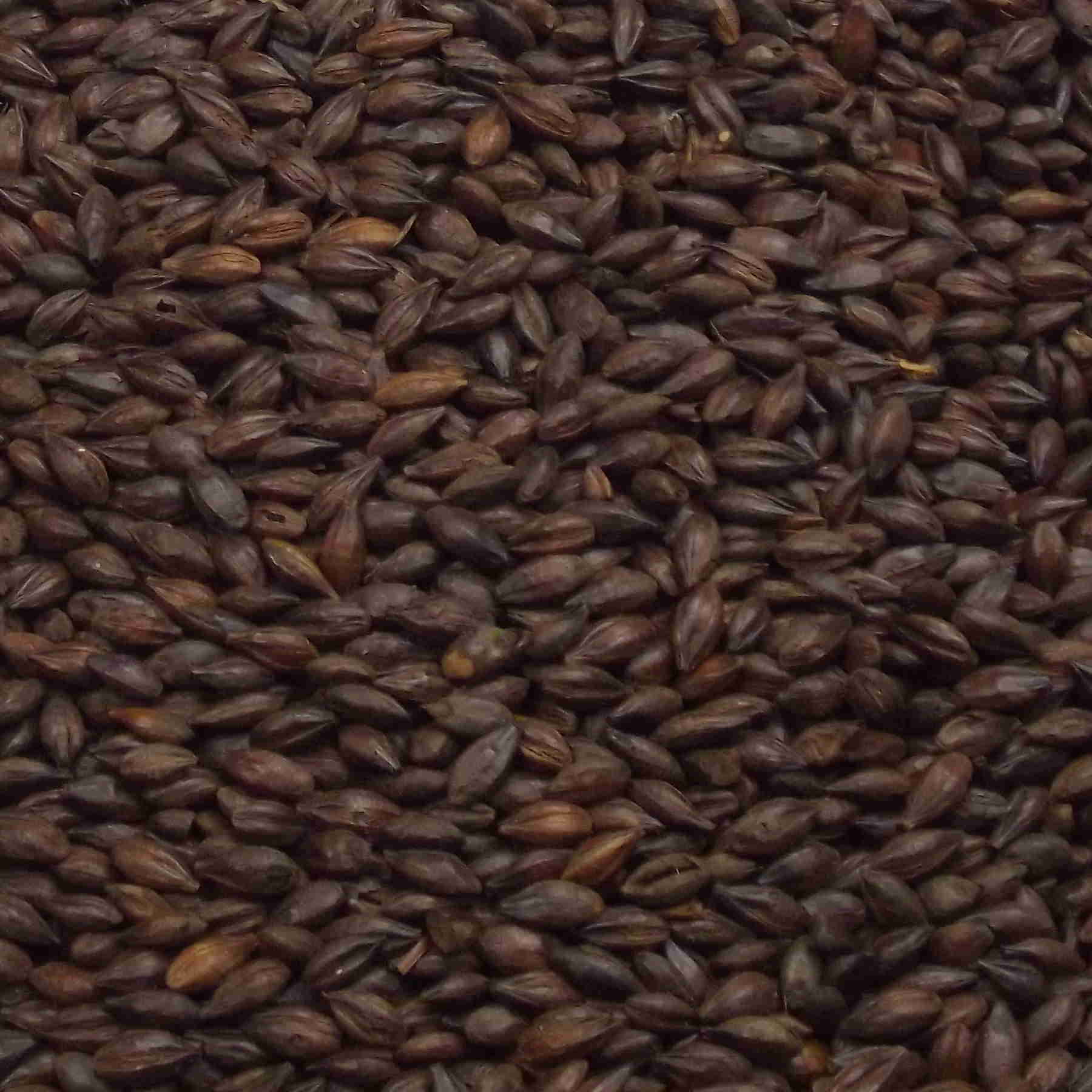 Pale Chocolate Malt, Fawcet, EBC: 500 – 600