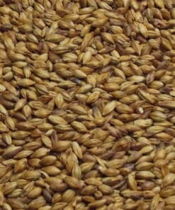 Byg, specialmalt