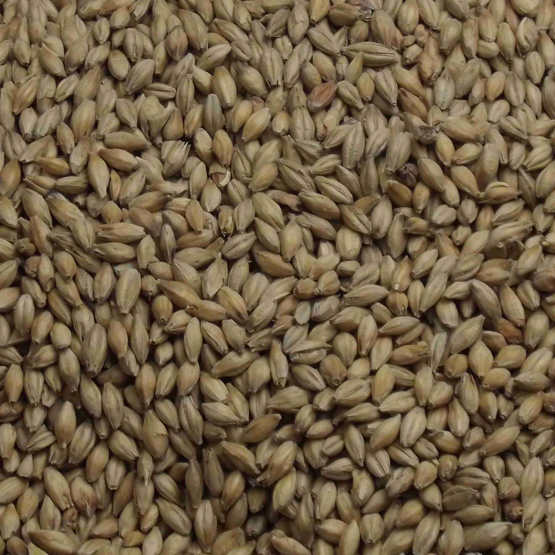 Pearl Malt, Fawcett. EBC: 4,5 – 5,5