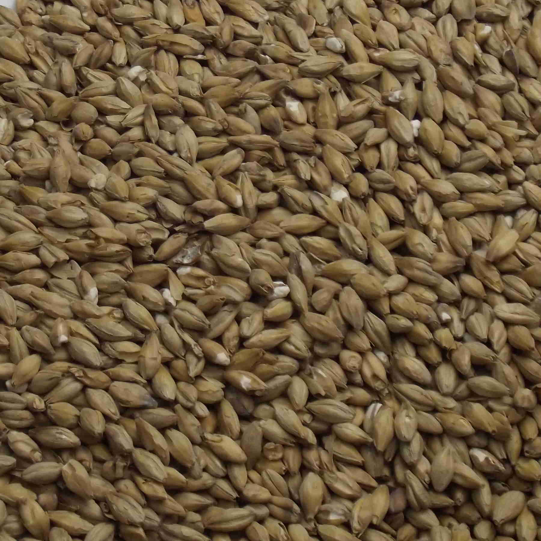 Peated Malt, Fawcett. EBC: 3,4