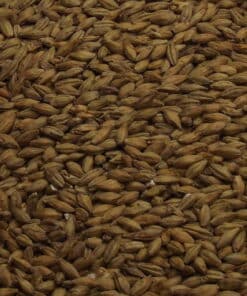 Pilsner Malt, Fuglsang, EBC: 3,0 – 4,2