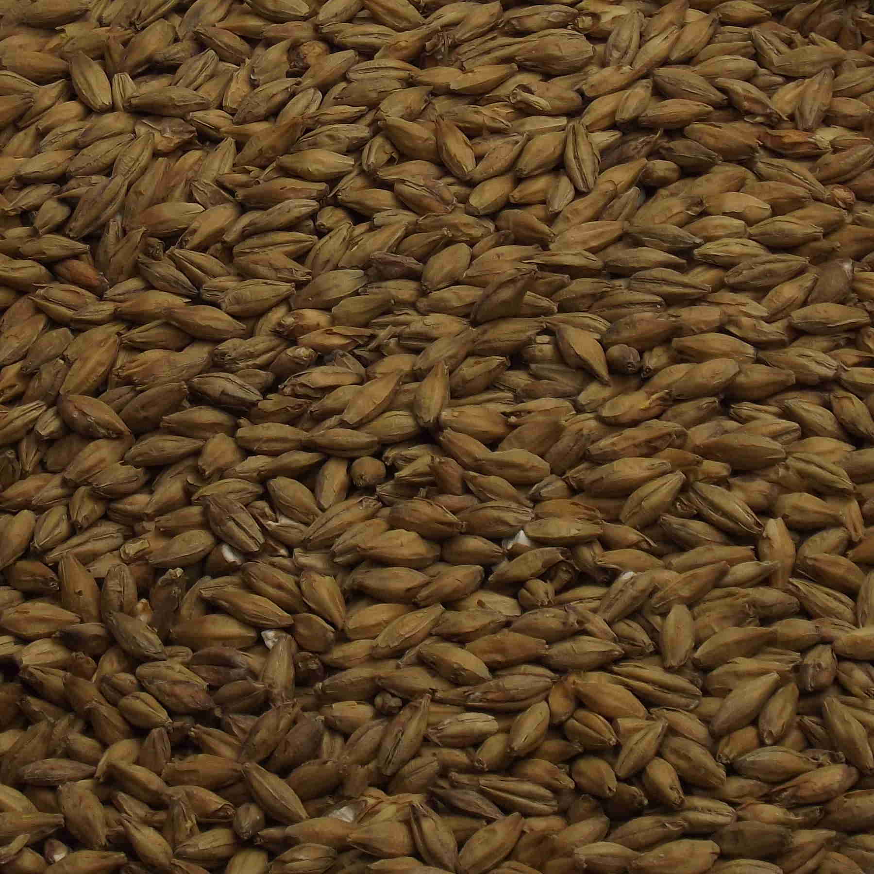Pilsner Malt, Fuglsang, EBC: 3,0 – 4,2