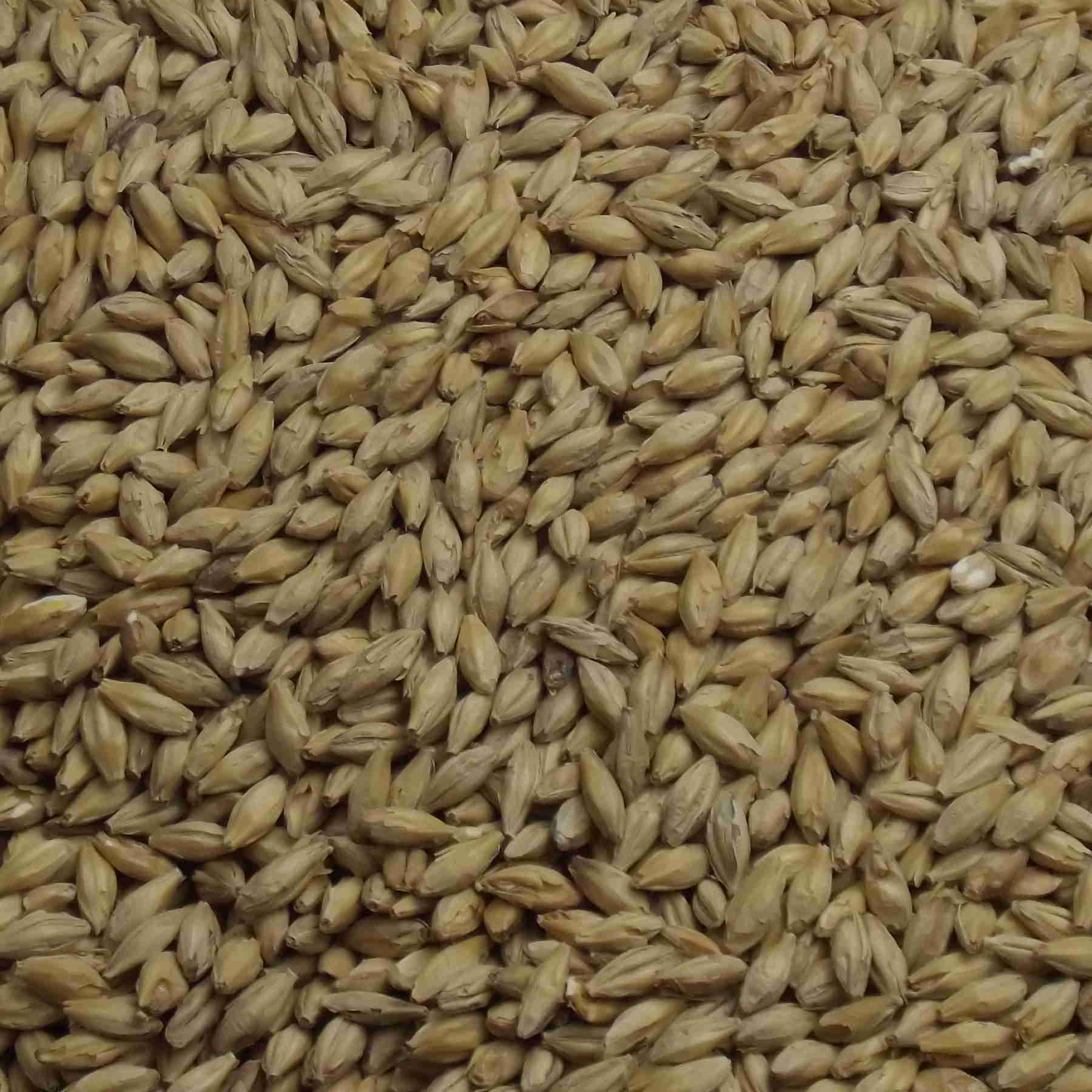 Premium Pilsner Malt, Weyermann, EBC: 1,5 – 2,5