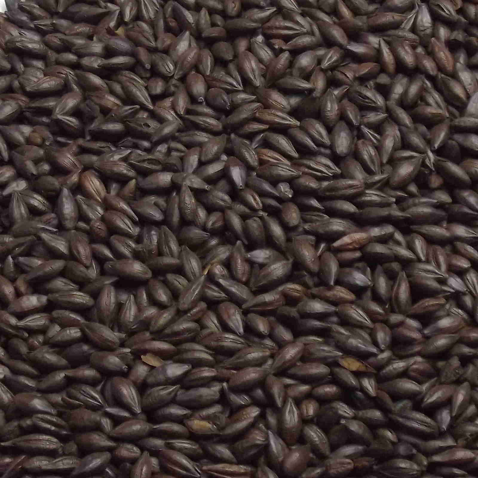 Ristet byg, (Roasted Barley), Fawcett, EBC: 1300 – 1600