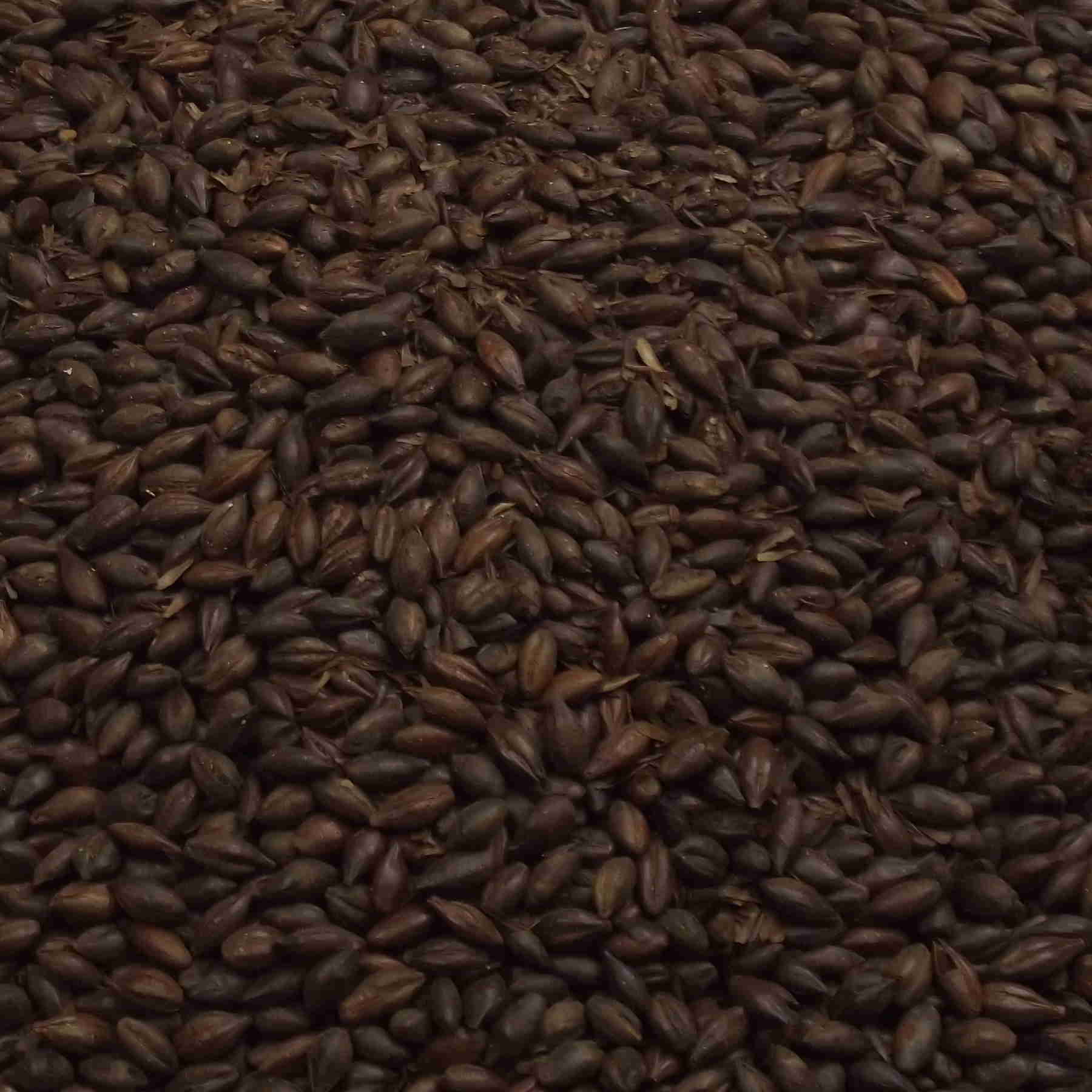 Ristet byg, (Roasted Barley), Weyermann, EBC: 1000-1300