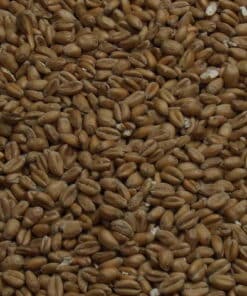 Hvedemalt