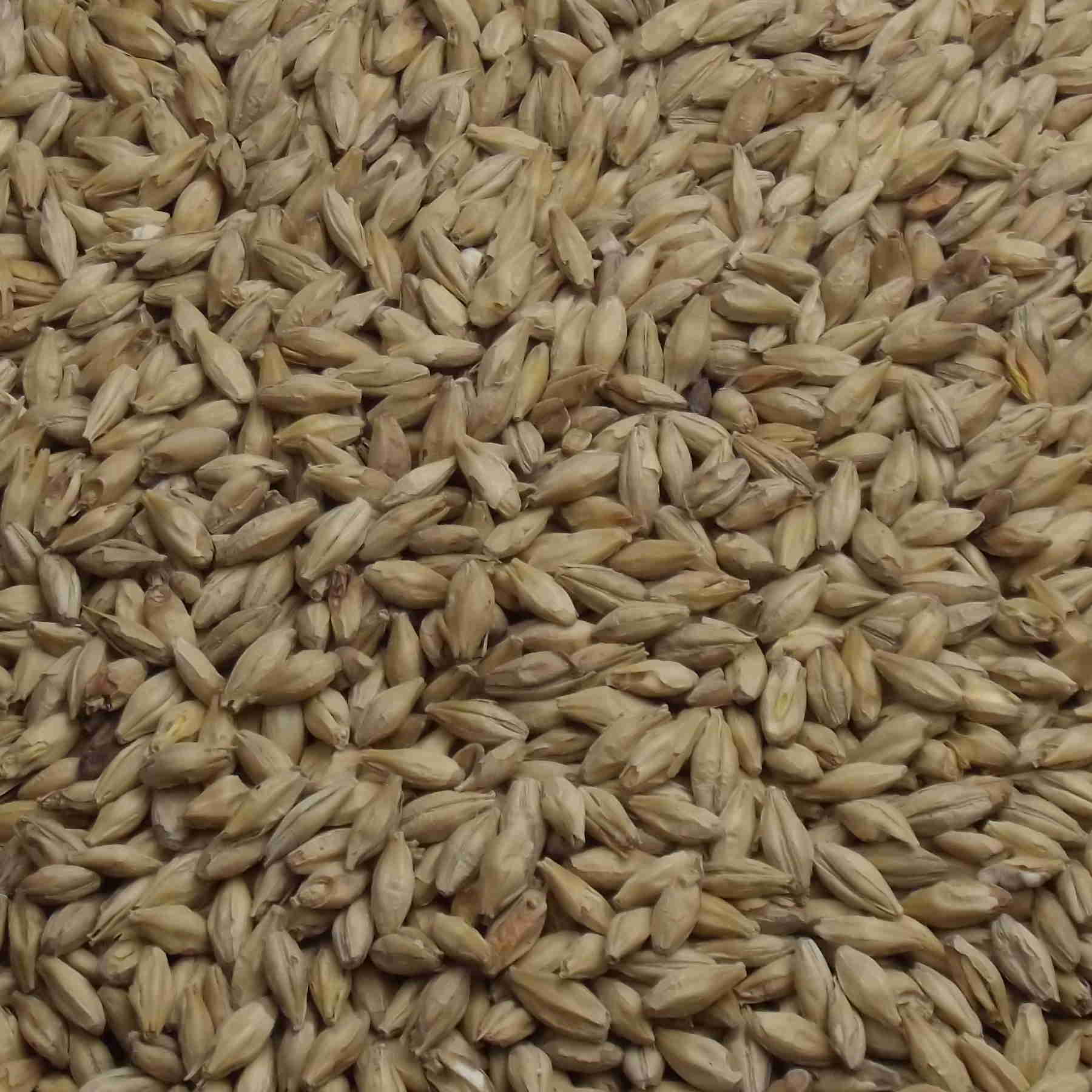 Vienna Malt, Weyermann, EBC: 5 – 8
